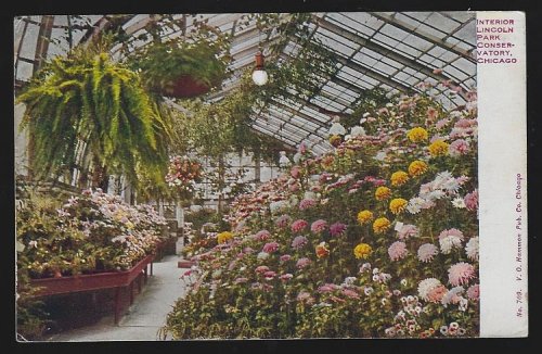 INTERIOR LINCOLN PARK CONSERVATORY, CHICAGO, ILLINOIS