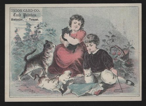 VICTORIAN TRADE CARD FOR UNION CARD CO. WITH BOY AND GIRL PLAYING WITH CAT AND KITTENS