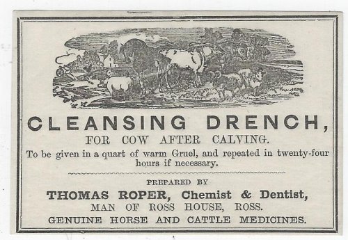LABEL FOR THOMAS ROPER CLEANSING DRENCH FOR COW