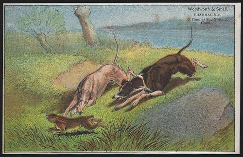 VICTORIAN TRADE CARD FOR WOODWORTH AND SMALL WITH DOGS CHASING RABBIT