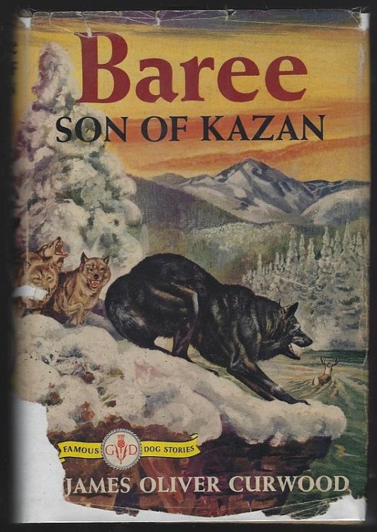 BAREE SON OF KAZAN