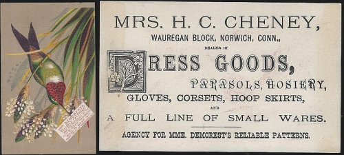 VICTORIAN TRADE CARD FOR DEMOREST RELIABLE PATTERNS WITH BIRD