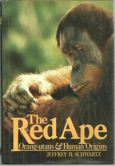 RED APE Orang-Utans and Human Origins