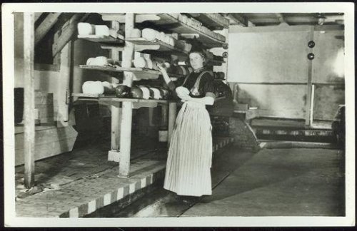 REAL PHOTO POSTCARD OF YOUNG DUTCH LADY WITH CHEESE DRYCAFFOLD