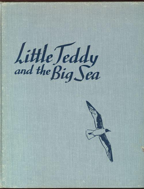 LITTLE TEDDY AND THE BIG SEA