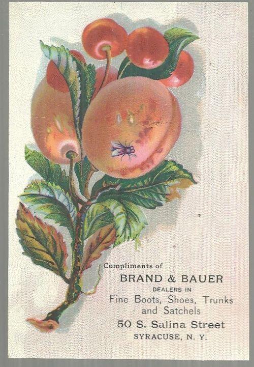 VICTORIAN TRADE CARD FOR BRAND AND BAUER FINE BOOTS, SYRACUSE, NEW YORK