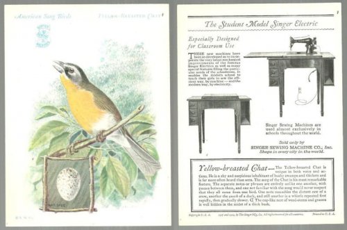 VICTORIAN TRADE CARD FOR SINGER SEWING MACHINE AMERICAN SONG BIRDS SERIES THE YELLOW-BREASTED CHAT