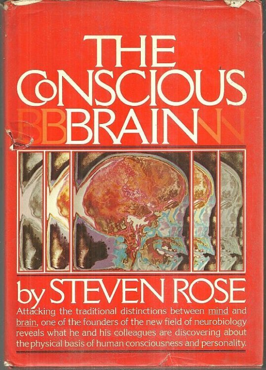 CONSCIOUS BRAIN