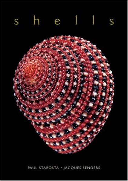 Image for Shells : The Rita and Jacques Senders Collection Shells : The Rita and Jacques Senders Collection