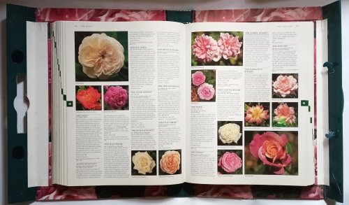 Image for Botanica's Roses : The Encyclopedia of Roses Botanica's Roses : The Encyclopedia of Roses