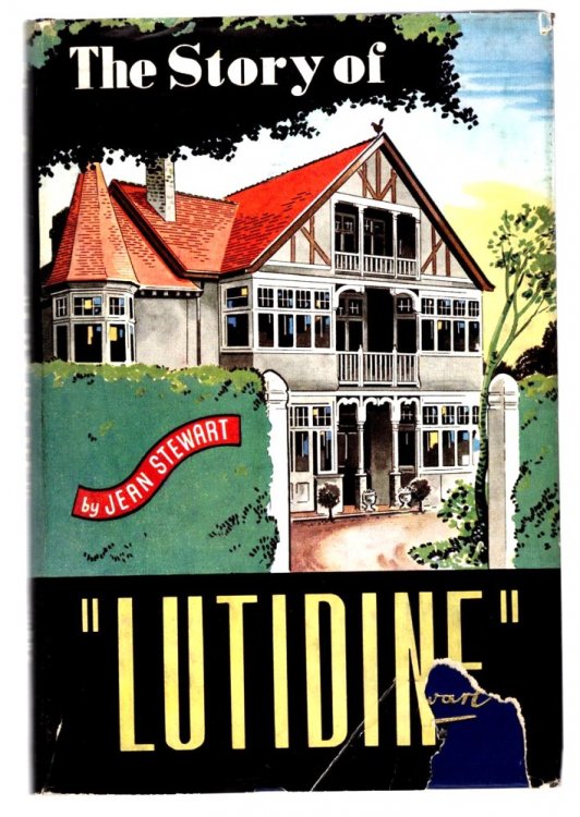 Image for Story of Lutidine, The Story of Lutidine, The