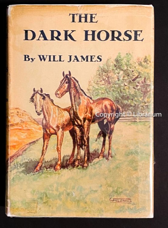 Image for The Dark Horse The Dark Horse