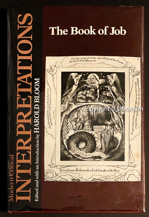 Image for Book of Job: Modern Critical Interpretation series Book of Job: Modern Critical Interpretation series