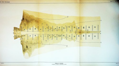 Image for l'Origine des Glandes Annexes de l'Intestin Moyen chez les Vertebres l'Origine des Glandes Annexes de l'Intestin Moyen chez les Vertebres