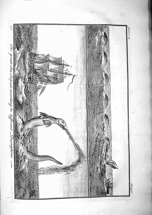 The Natural History of Norway: containing, A particular and accurate Account of the Temperature of the Air, the different Soils, Waters, Vegetables, Metals, Minerals, Stones, Beasts, Birds and Fishes; together with the Dispositions, Customs, and Manner of Living of the Inhabitants: Interspersed with