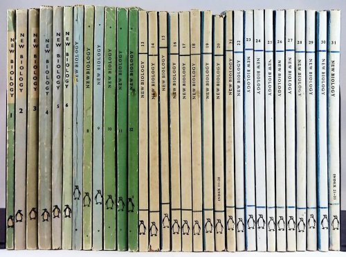 Image for New Biology, vols 1-31 New Biology, vols 1-31