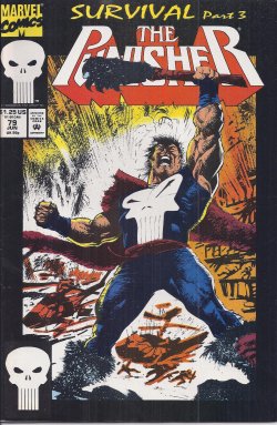 Image for THE PUNISHER: Jun #79 THE PUNISHER: Jun #79
