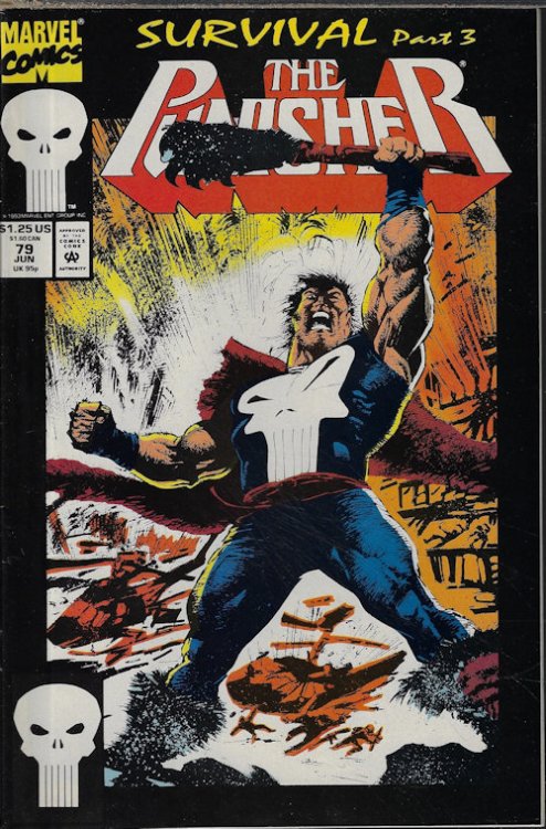 Image for THE PUNISHER: Jun #79 THE PUNISHER: Jun #79