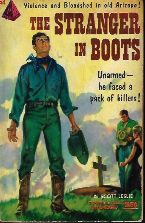 Image for THE STRANGER IN BOOTS THE STRANGER IN BOOTS