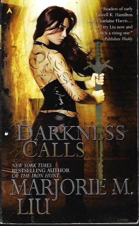 Image for DARKNESS CALLS (Hunter's Kiss 2) DARKNESS CALLS (Hunter's Kiss 2)