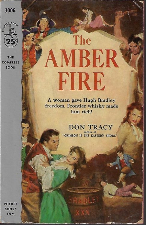 Image for THE AMBER FIRE THE AMBER FIRE