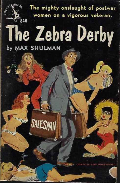 Image for THE ZEBRA DERBY THE ZEBRA DERBY