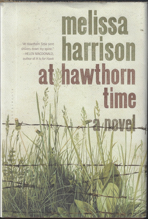 Image for AT HAWTHORN TIME; A Novel AT HAWTHORN TIME; A Novel