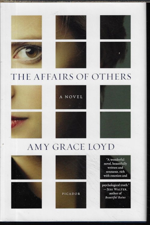 Image for THE AFFAIRS OF OTHERS; A Novel THE AFFAIRS OF OTHERS; A Novel