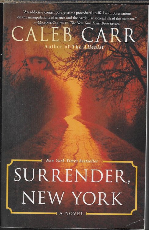 SURRENDER, NEW YORK