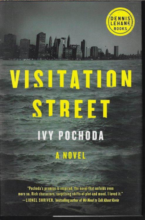 Image for VISITATION STREET: A Novel VISITATION STREET: A Novel