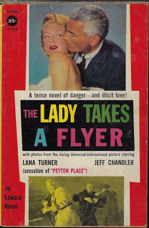 Image for THE LADY TAKES A FLYER THE LADY TAKES A FLYER