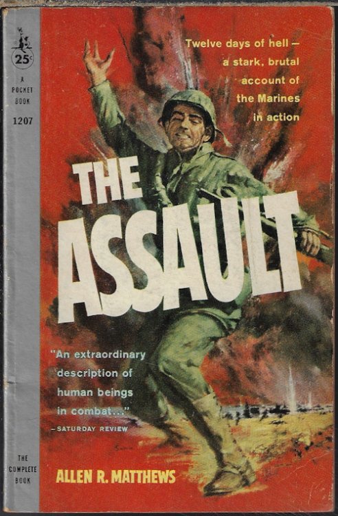 Image for THE ASSAULT THE ASSAULT