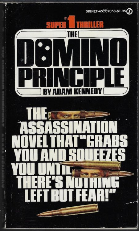 Image for THE DOMINO PRINCIPLE THE DOMINO PRINCIPLE