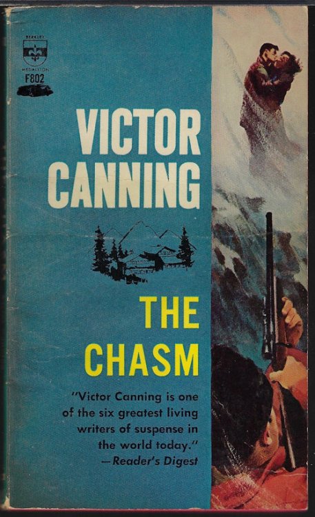 Image for THE CHASM THE CHASM