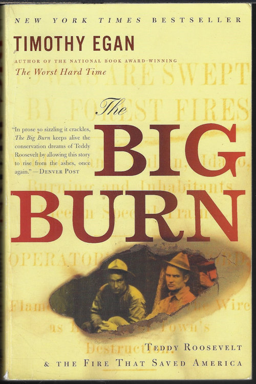 Image for THE BIG BURN; Teddy Roosevelt & the Fire That Saved America THE BIG BURN; Teddy Roosevelt & the Fire That Saved America