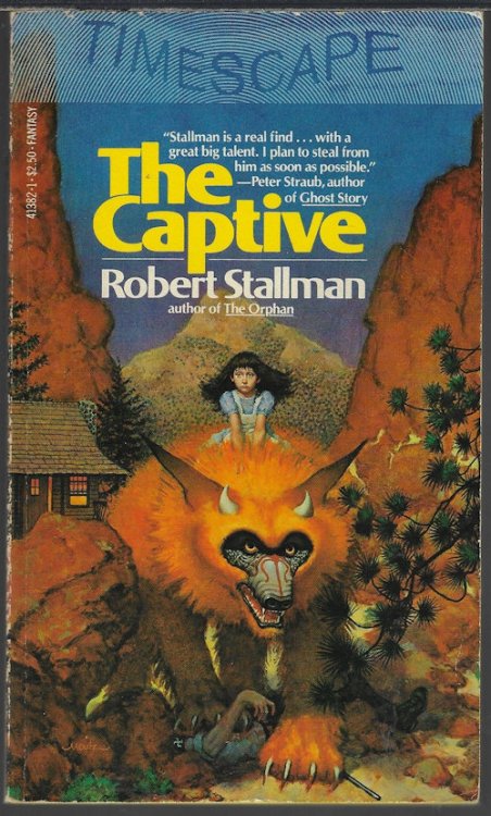 Image for THE CAPTIVE THE CAPTIVE