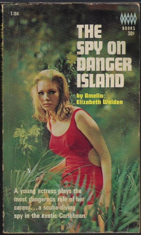 Image for THE SPY ON DANGER ISLAND THE SPY ON DANGER ISLAND