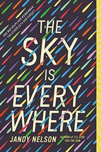 Image for The Sky Is Everywhere The Sky Is Everywhere