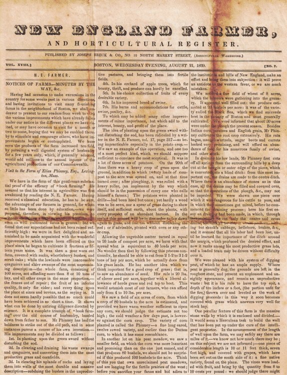 Image for New England Farmer, and Horticultural Register: Vol. XVIII, No. 7, August 21, 1839 New England Farmer, and Horticultural Register: Vol. XVIII, No. 7, August 21, 1839