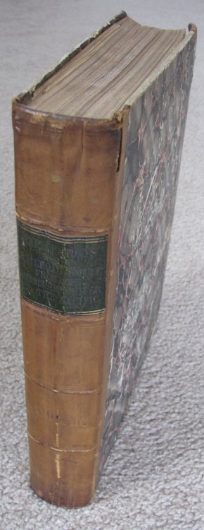 Image for Reports of Explorations and Surveys, to Ascertain the Most Practicable and Economical Route for a Railroad from the Mississippi River to the Pacific Ocean. Made under the Direction of the Secretary of War, in 1853-4, Volume III: Report of Explorations for a Railway Route, Near the Thirty-Fifth Paral Reports of Explorations and Surveys, to Ascertain the Most Practicable and Economical Route for a Railroad from the Mississippi River to the Pacific Ocean. Made under the Direction of the Secretary of War, in 1853-4, Volume III: Report of Explorations for a Railway Route, Near the Thirty-Fifth Paral