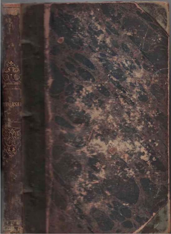 D'Horsay; or, The Follies of the Day