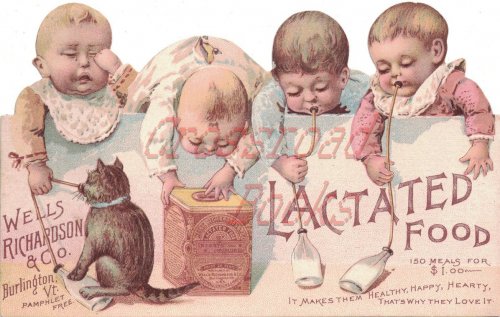 Lactated Food [Wells Richardson & Co. advertising piece]