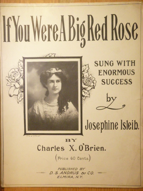 If You Were A Big Red Rose