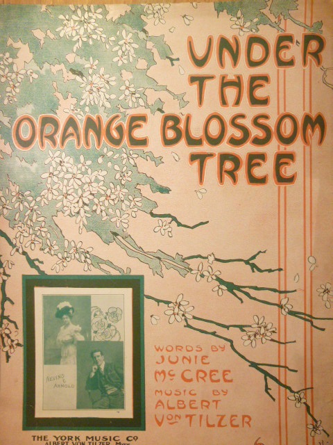 Under the Orange Blossom Tree