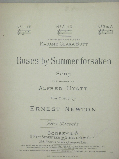 Roses by Summer Forsaken