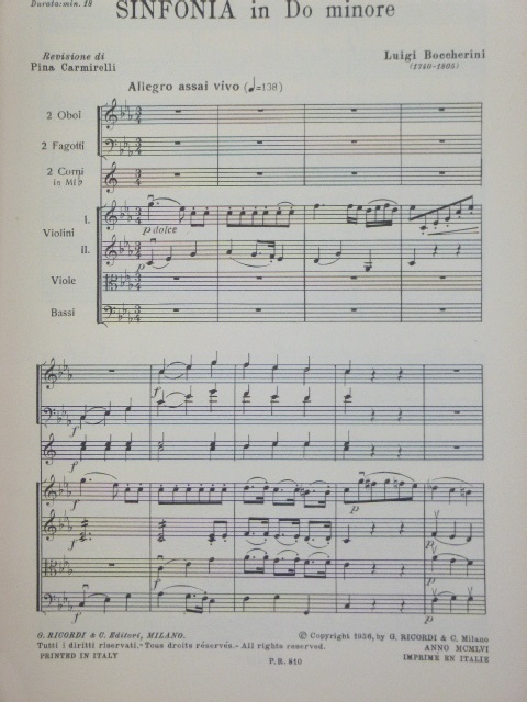 Sinfonia in Do Minore