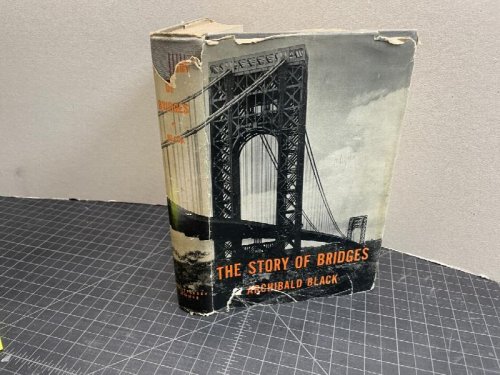 Image for THE STORY OF BRIDGES THE STORY OF BRIDGES