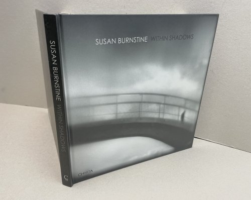 Image for SUSAN BURNSTINE : Within Shadows SUSAN BURNSTINE : Within Shadows