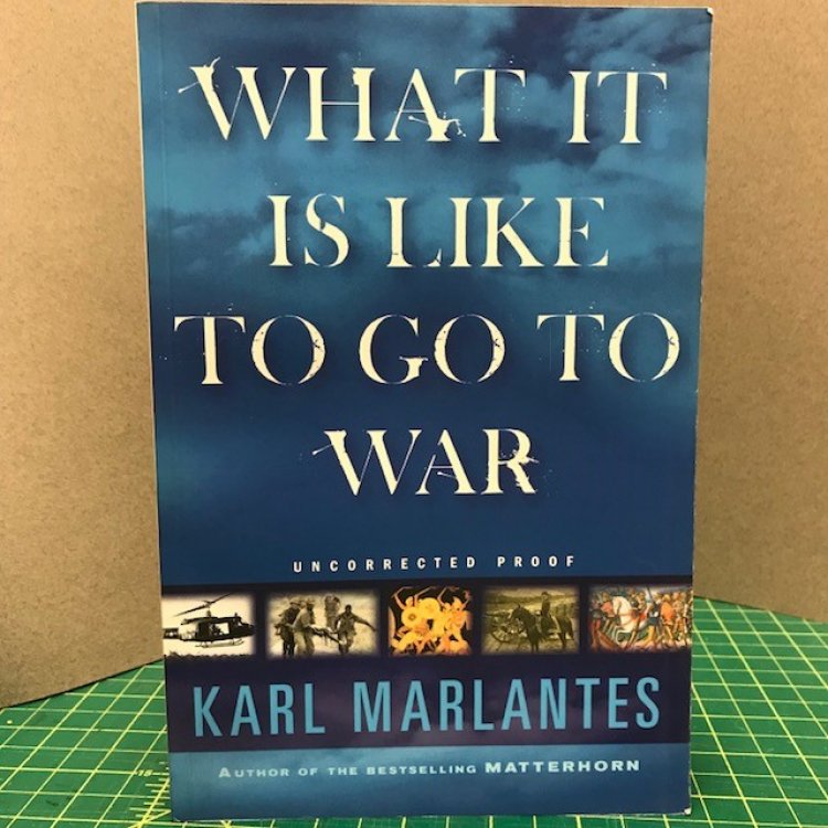 Image for WHAT IT IS LIKE TO GO TO WAR WHAT IT IS LIKE TO GO TO WAR