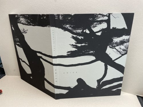 VOICE